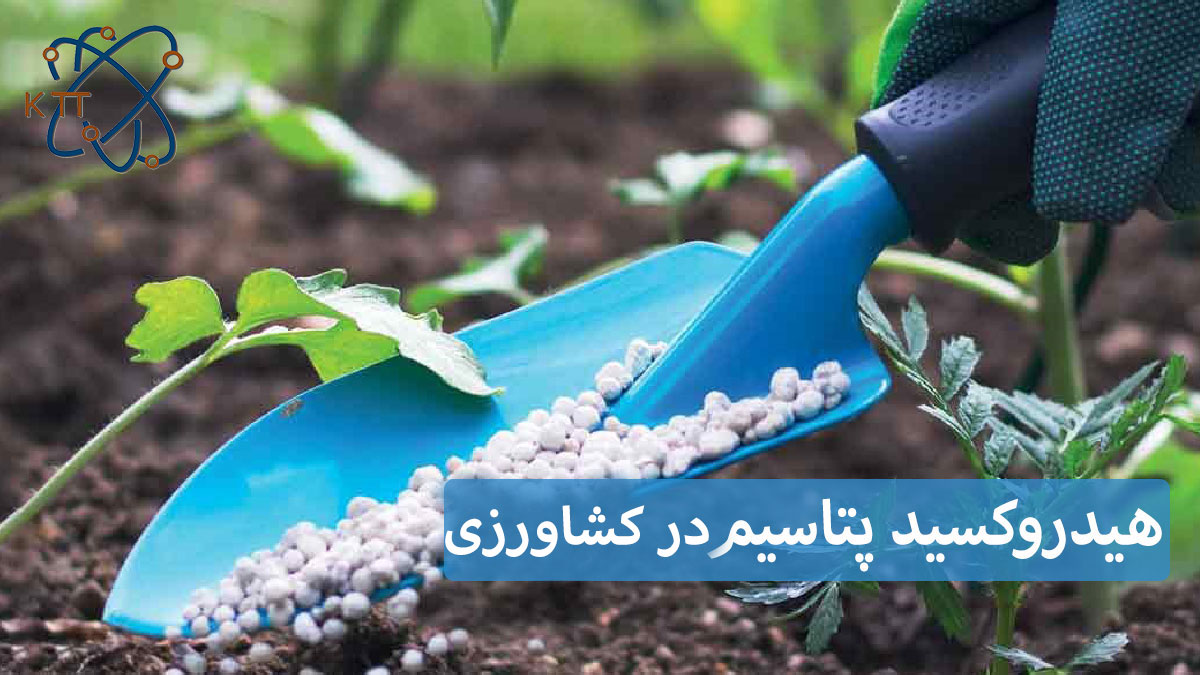 اهمیت هیدروکسید پتاسیم در کشاورزی برای گیاهان