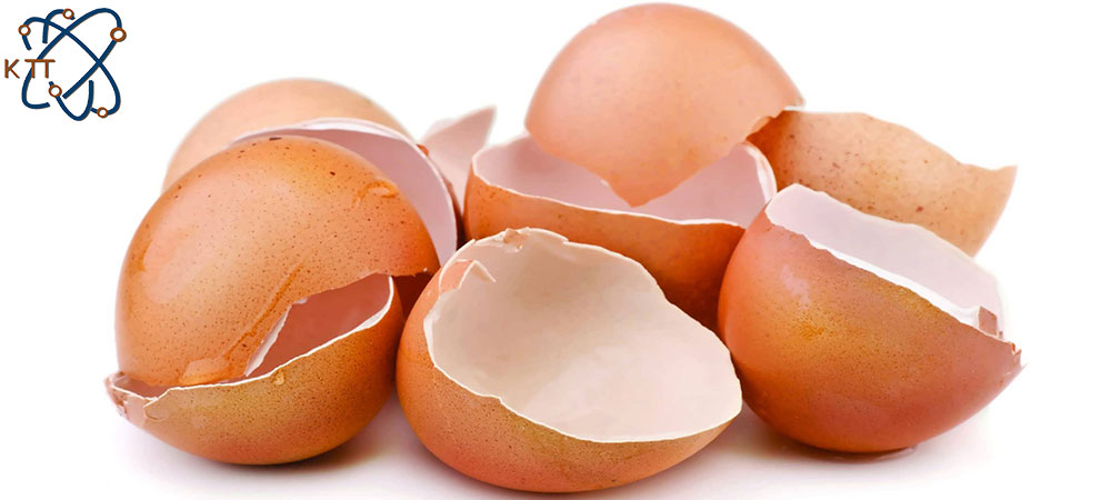 پوسته های تخم مرغ قهوه ای رنگ جدا شده از تخم مرغ