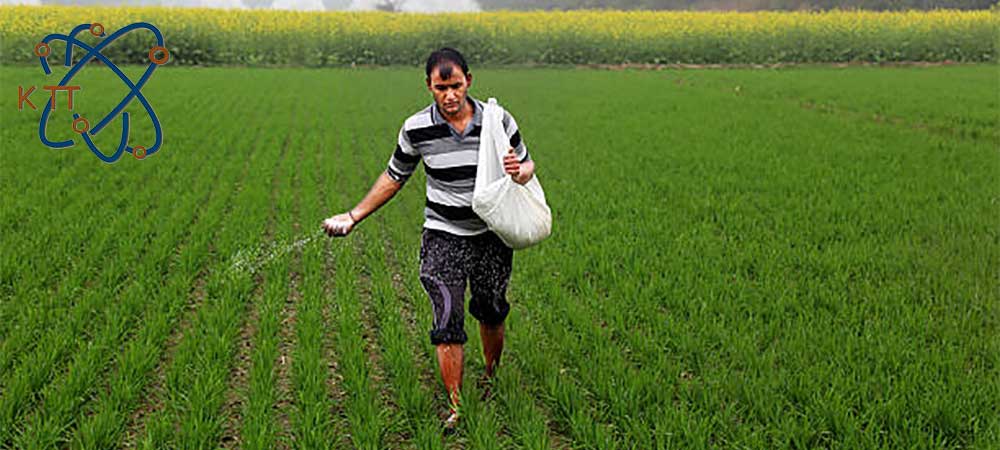 پاشیدن پودر مونو کلسیم فسفات در زمینهای کشاورزی توسط کشاورز