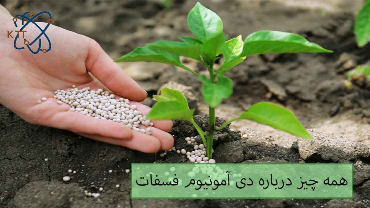 همه چیز درباره دی آمونیوم فسفات