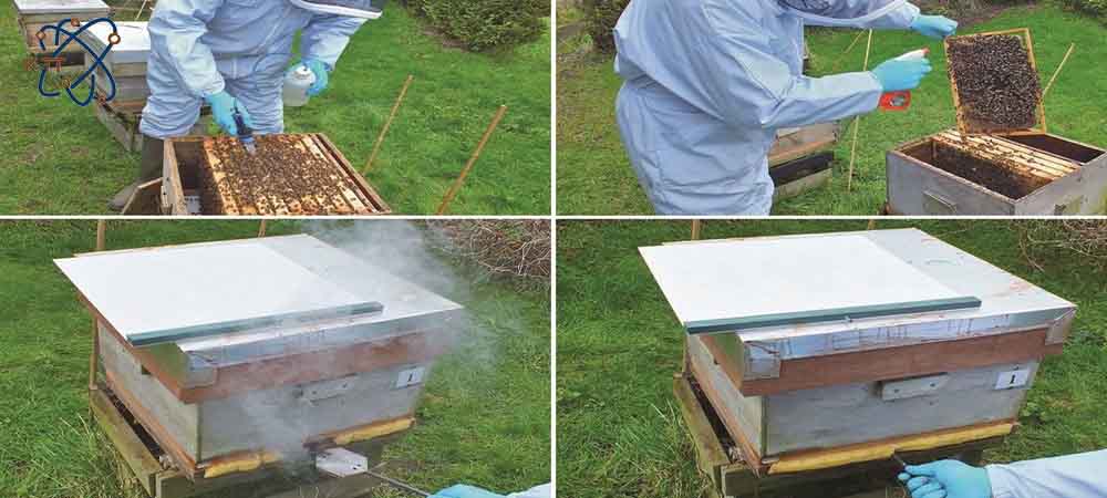 زمان و نحوه استفاده از اسید فرمیک در کندو زنبور عسل