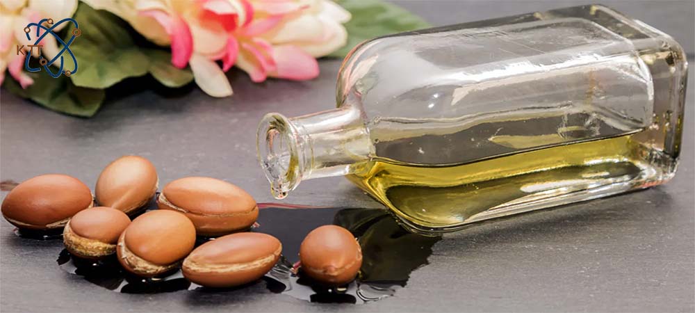 دانه های آرگان به همراه روغن آرگان