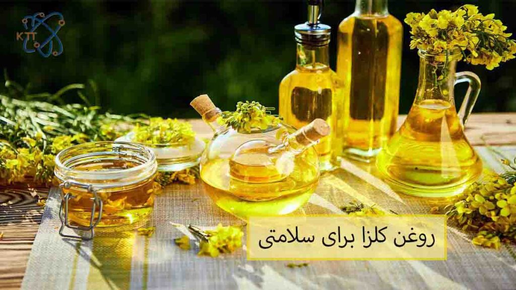 بررسی اهمیت و کاربرد روغن کلزا برای سلامتی بعلاوه فواید و معایب روغن کلزا