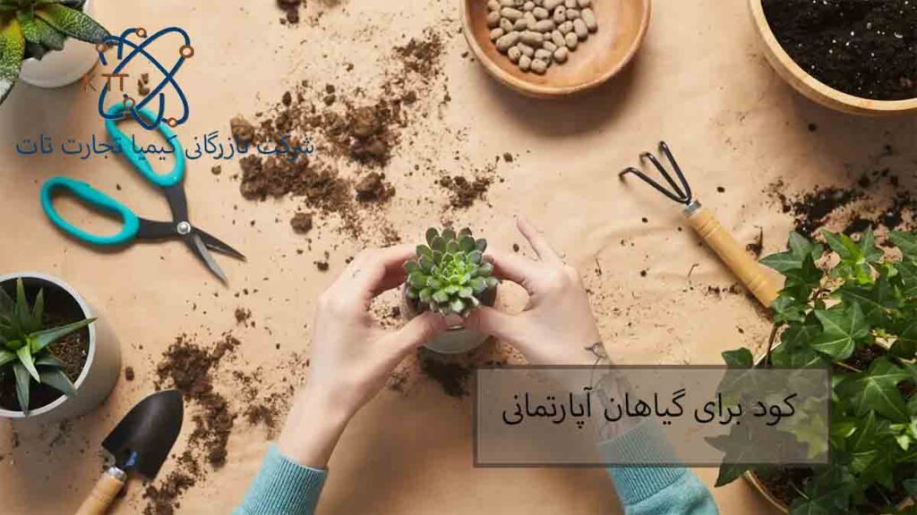 بهترین کود برای گیاهان آپارتمانی