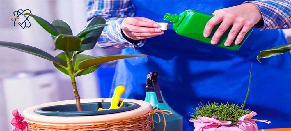 ریختن کود مایع برای گیاهان آپارتمانی