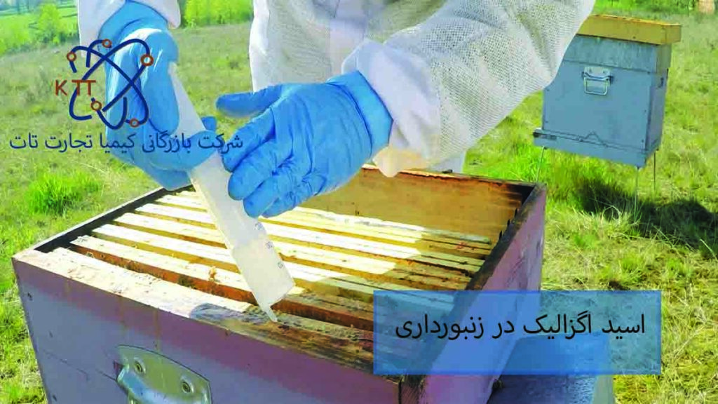 استفاده از اگزالیک اسید برای زنبورداری و کندوها