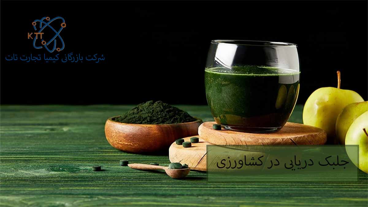 اهمیت، کاربرد و فواید جلبک دریایی برای کشاورزی