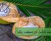 اهمیت و کاربرد لورامید نارگیل در صنعت رنگ و پولیش