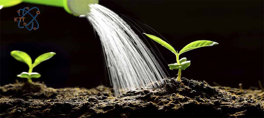 آبدهی به گیاهان تازه کاشته شده