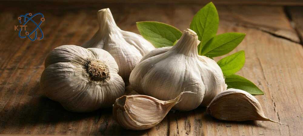 سه بوته سیر در کنار دو حبه سیر