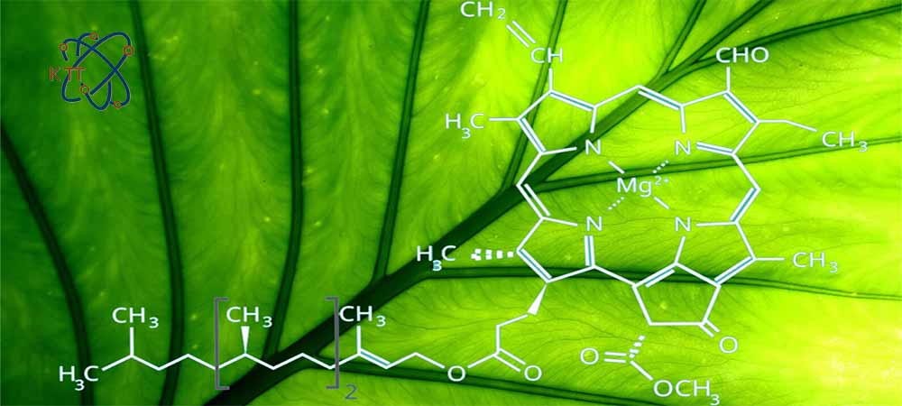فرمول شیمی آلی یک ترکیب بر روی برگ سبز