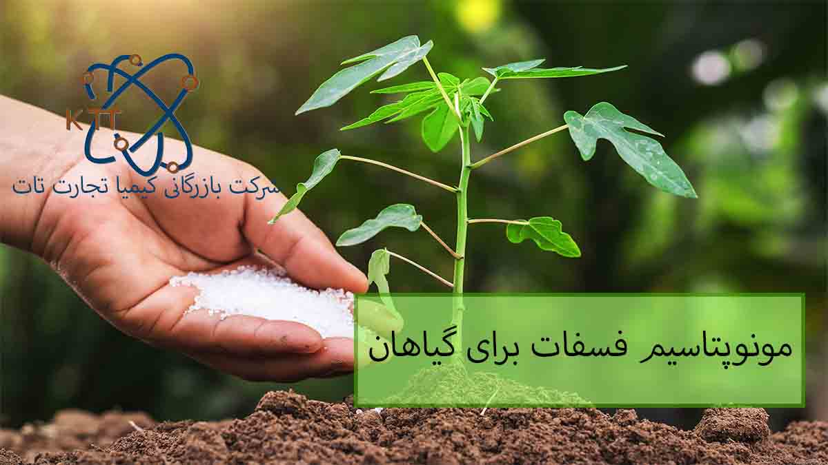 کاربرد و اهمیت مونوپتاسیم فسفات برای گیاهان