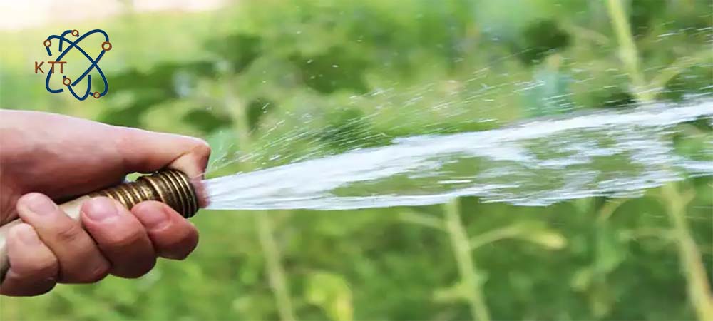پاشیدن آب روی گیاهان با شلنگ توسط شخصی