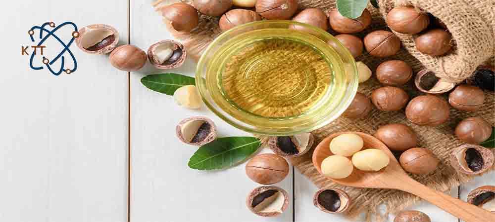 میوه های گرد وکوچک قهوه ای در کنار کاسه روغن ماکادمیا