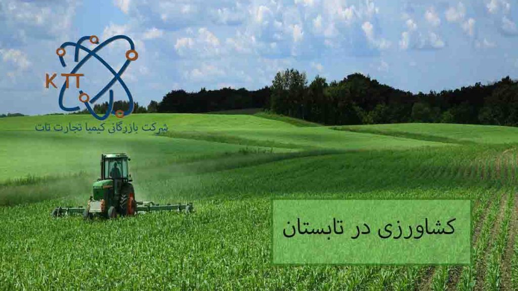 کشاورزی در تابستان
