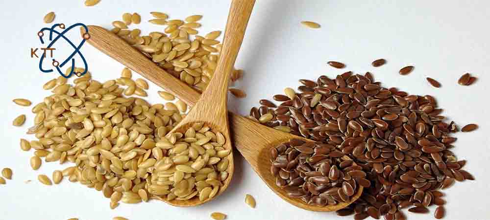  دو قاشق چوبی حاوی تخم کتان قهوه ای تیره و روشن